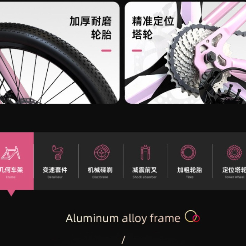 Adult Men Women 24 Inch Mounta - đánh giá và giá Cycling Commute Speed